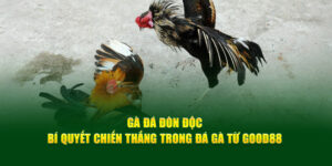 ga-da-don-doc-bi-quyet-chien-thang-trong-da-ga-tu-good88